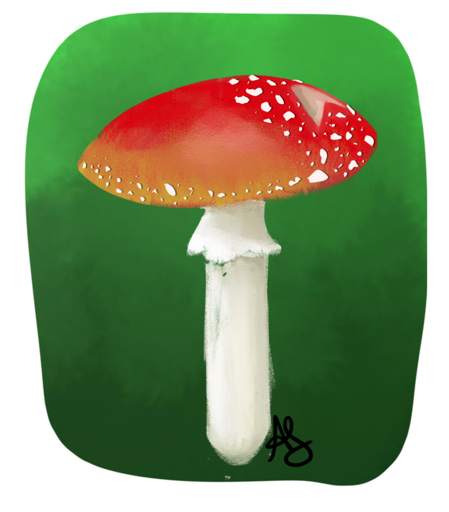Miscellaneous Work